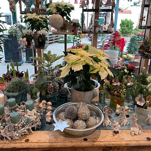 Adventstimmung mit Weihnachtsdekoration aus der Natur von der Gärtnerei Käfer