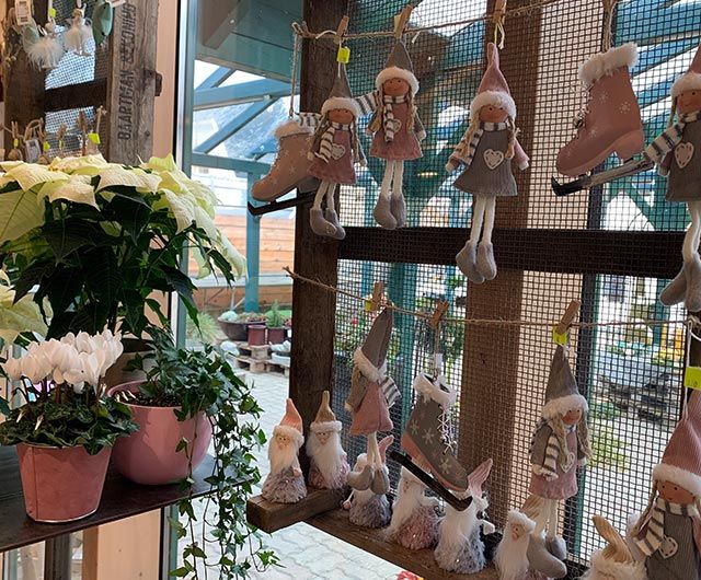 Adventstimmung mit Weihnachtsdekoration aus der Natur von der Gärtnerei Käfer