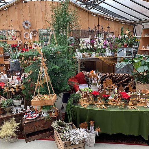 Adventstimmung mit Weihnachtsdekoration aus der Natur von der Gärtnerei Käfer