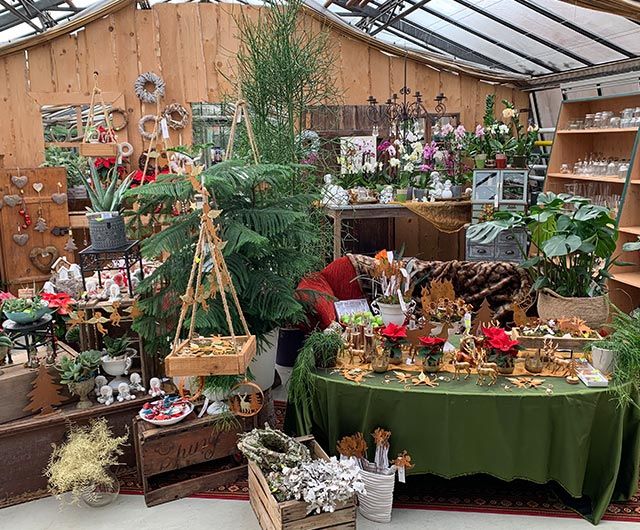 Adventstimmung mit Weihnachtsdekoration aus der Natur von der Gärtnerei Käfer