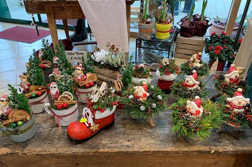 Adventstimmung mit Weihnachtsdekoration aus der Natur von der Gärtnerei Käfer