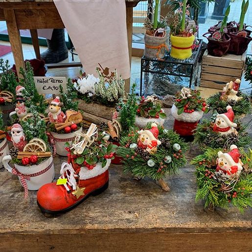 Adventstimmung mit Weihnachtsdekoration aus der Natur von der Gärtnerei Käfer